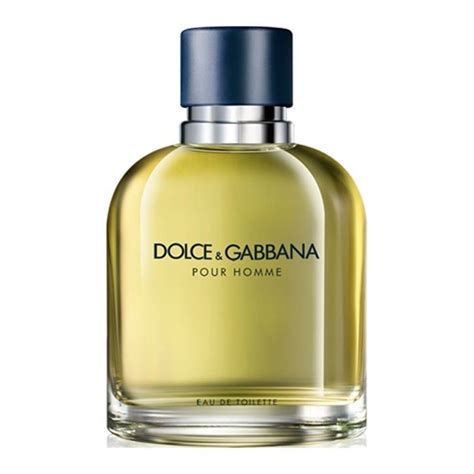 dolce gabbana pour homme 125 ml douglas|dolce gabbana homme outlet.